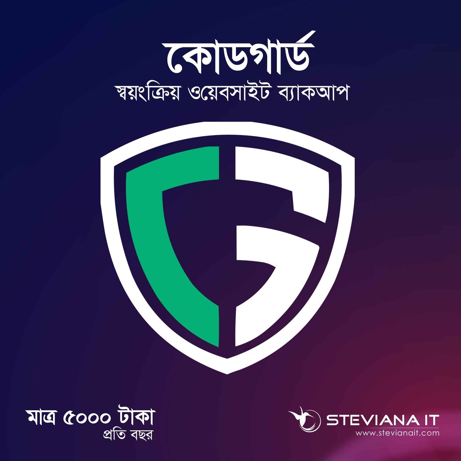 Basic CodeGuard Backup Service for Website in Bangladesh