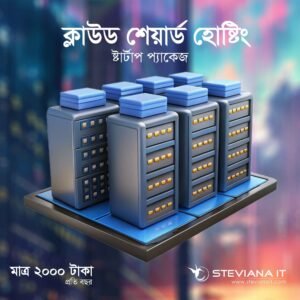 Cloud Shared Hosting Intermediate Plan in Bangladesh by Steviana IT