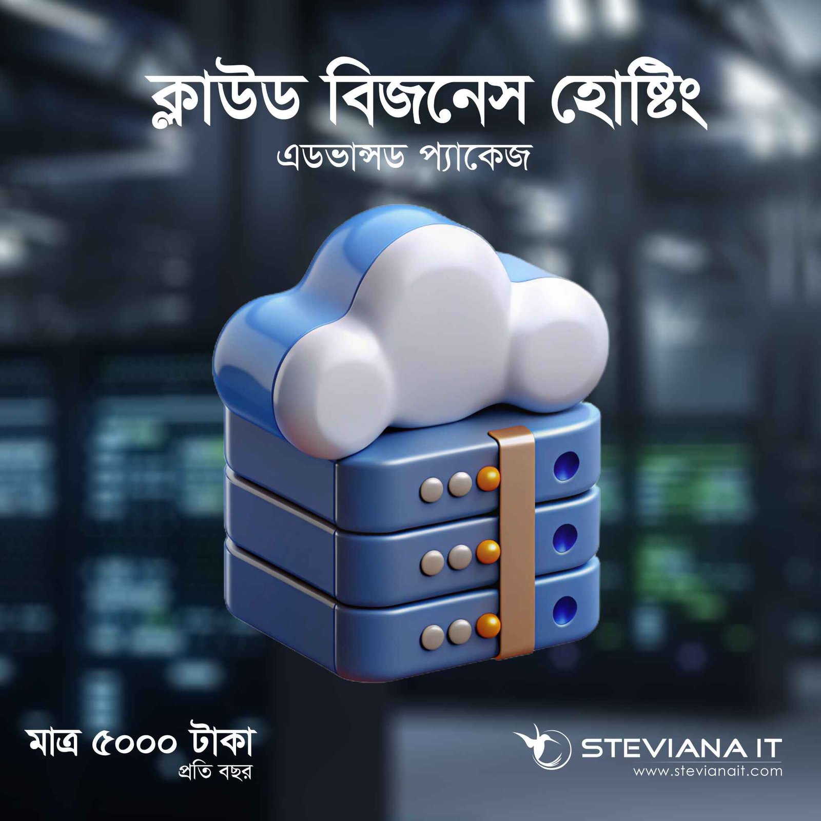 Cloud Business Hosting for SMEs in Bangladesh by Steviana IT