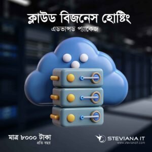 Cloud Business Hosting 2 plan for SMEs in Bangladesh by Steviana IT