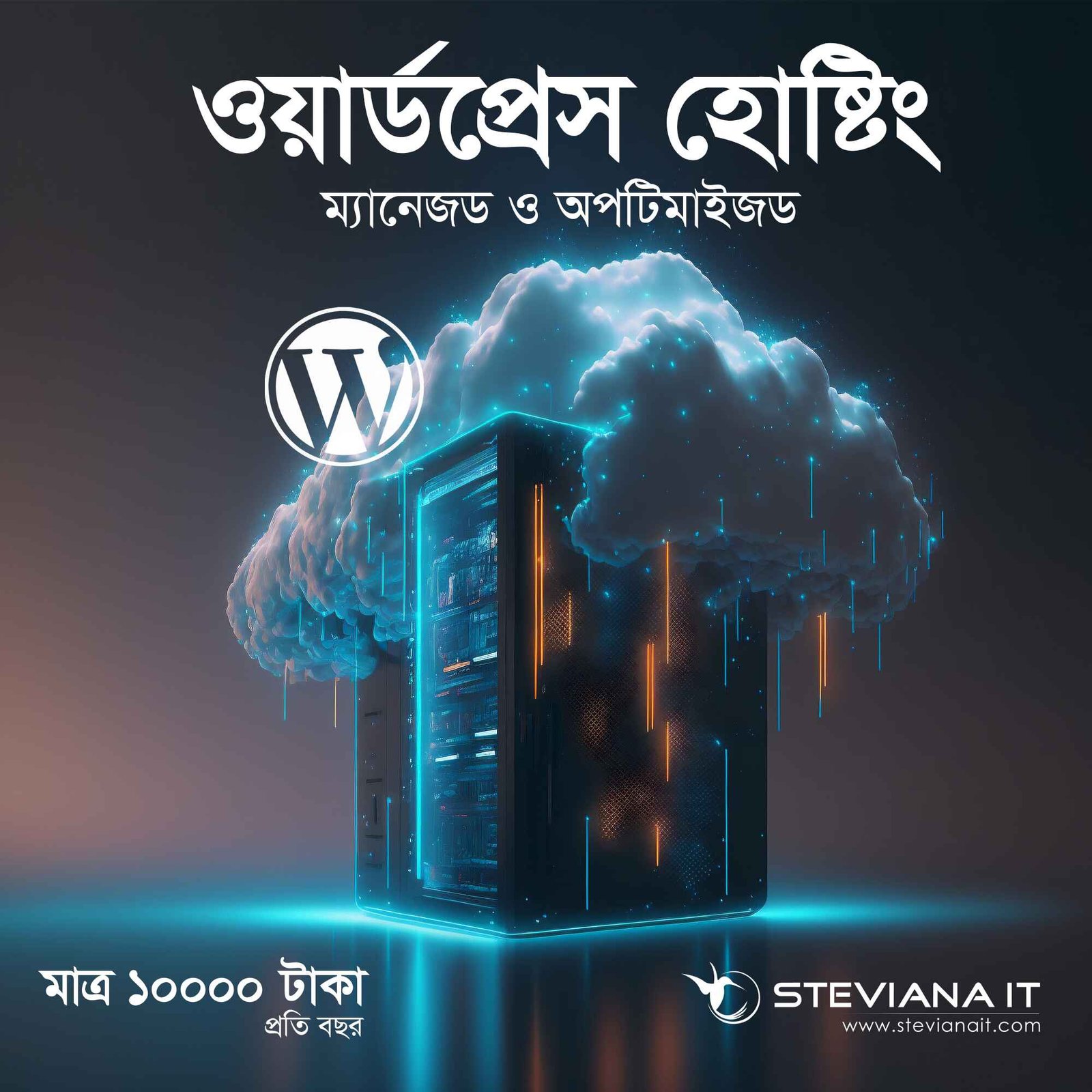 Managed WordPress Hosting for Starter Websites with 10GB SSD and Unlimited Bandwidth