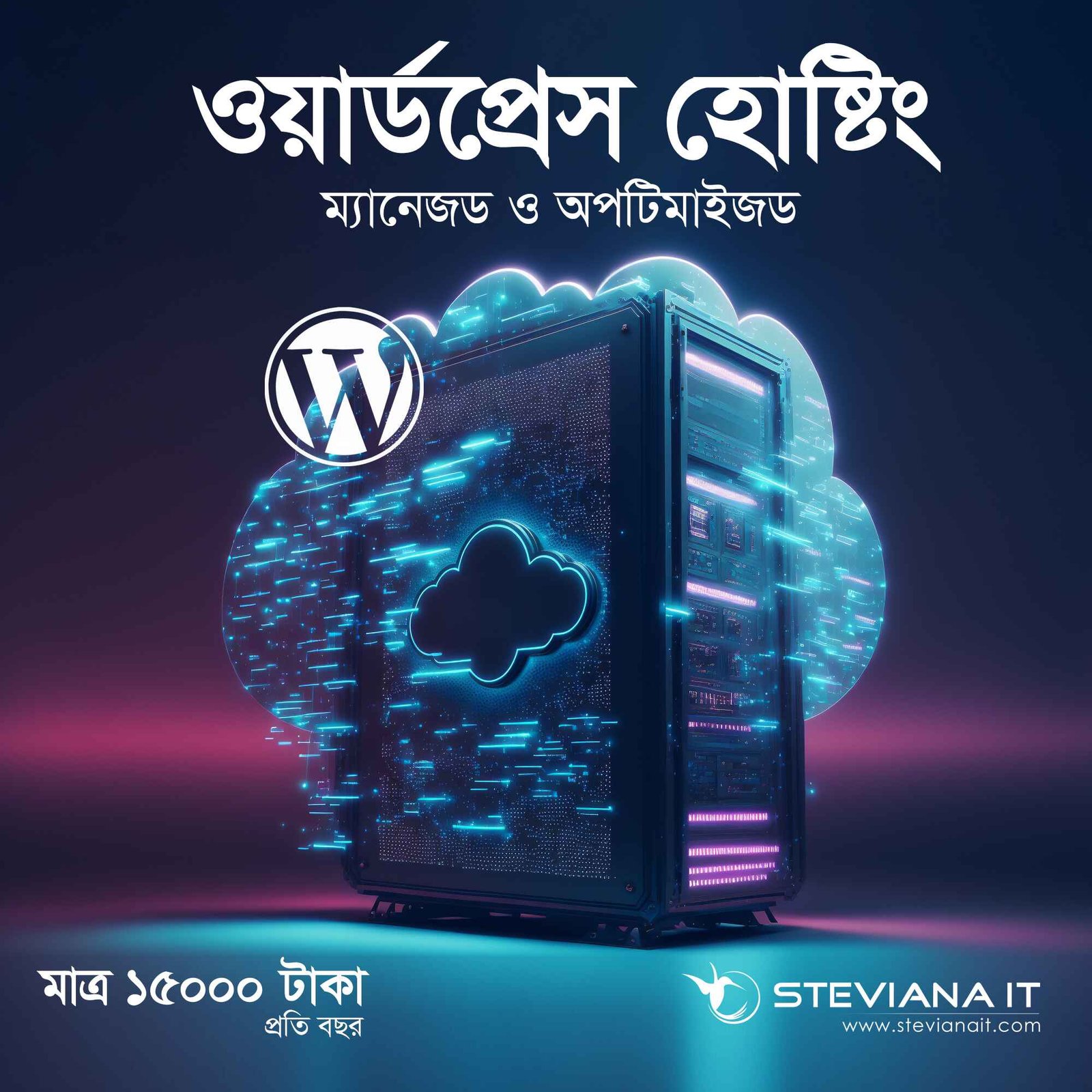 Intermediate WordPress Hosting with 50GB SSD and 500,000 Visitors Support