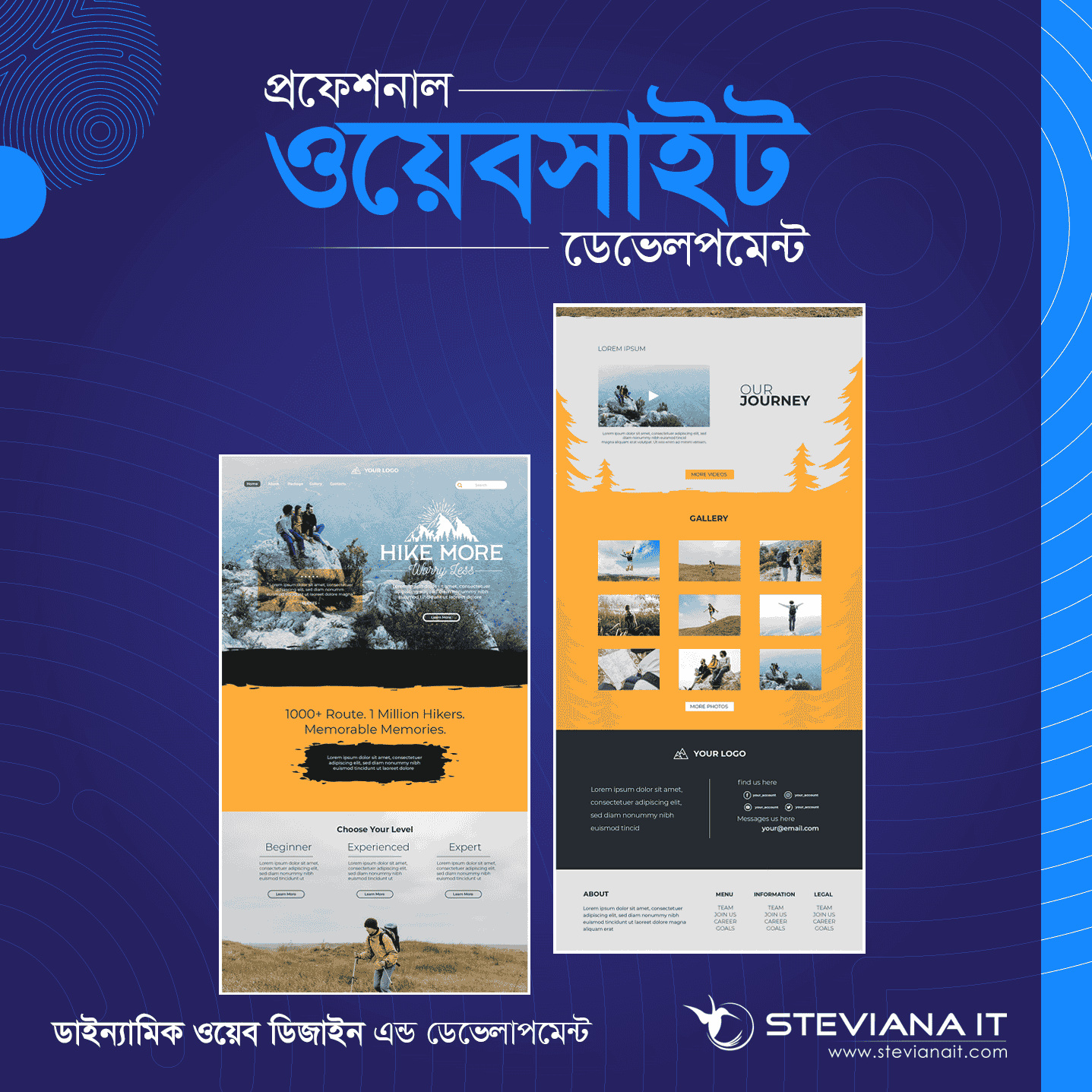 Advanced dynamic website design and development service in Bangladesh