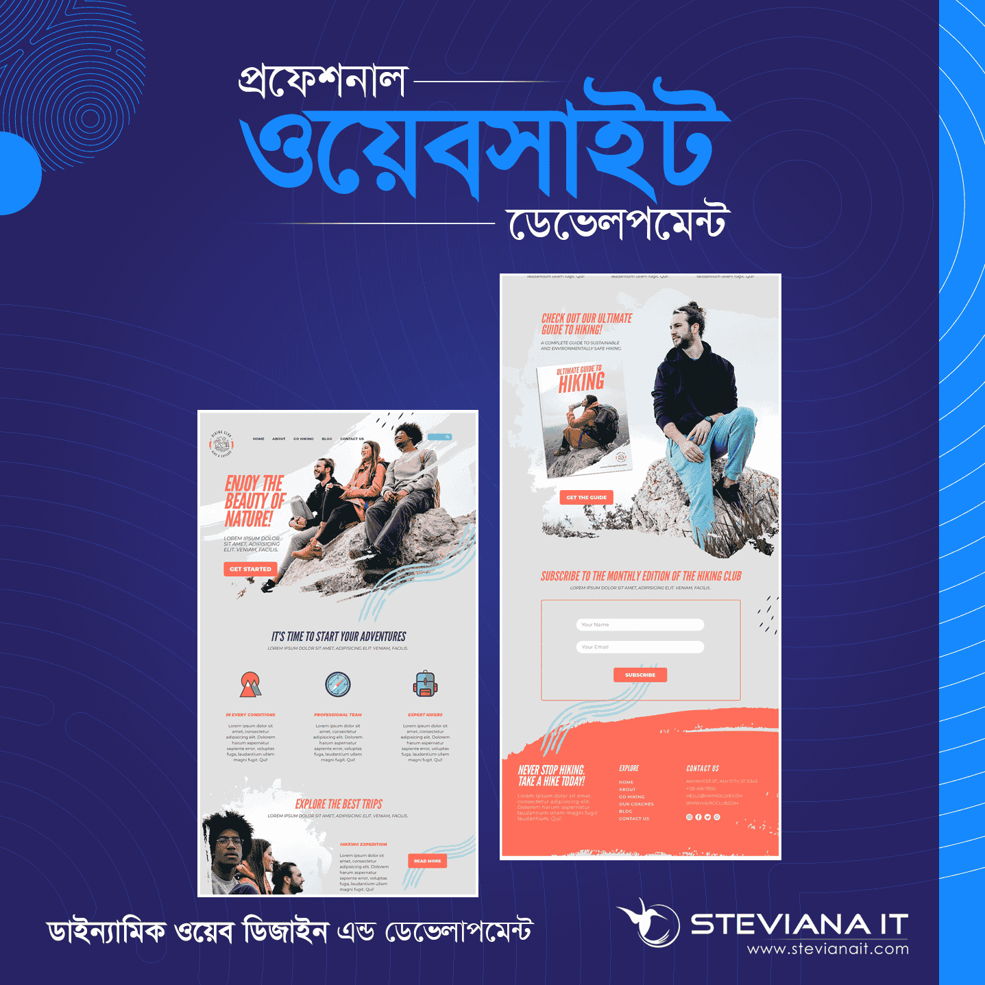 Professional Dynamic Website Design and Development in Bangladesh